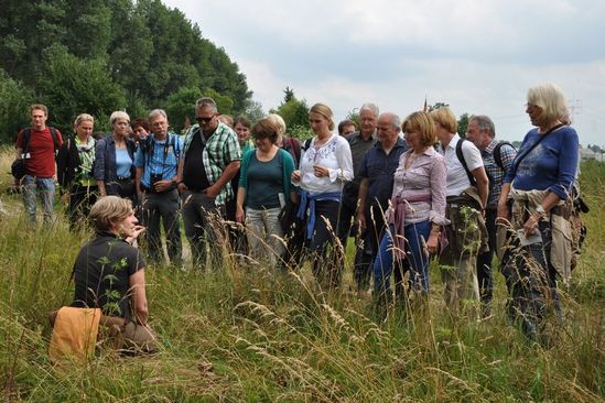 Eine Gruppe Menschen auf einer Wiese hören einer Referentin zu