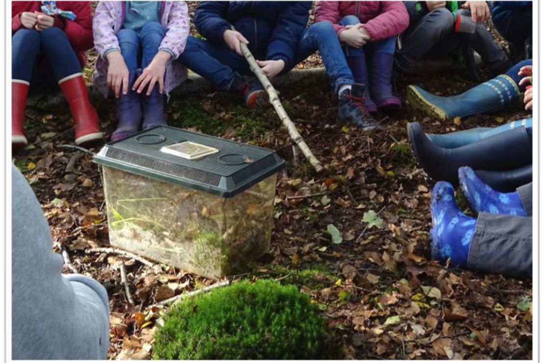 Kinder sitzen im Kreis im Wald