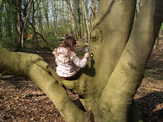 Kind sitzt auf einem Baum und erkundet mithilfe der Lupe die Rinde