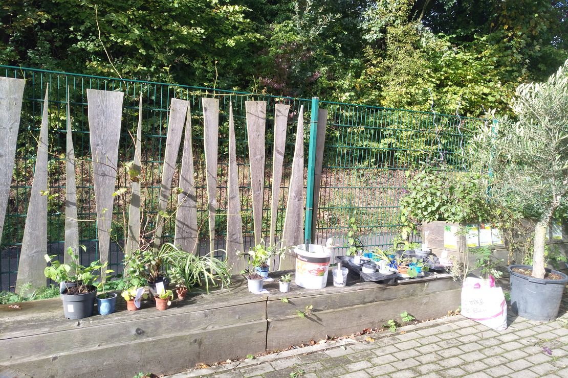 Eine Gartenecke mit Hochbeeten und Sitzmöglichkeiten, auf denen getopfe Ableger stehen