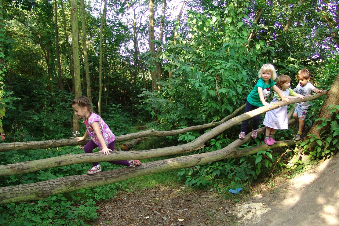 Kinder balancieren auf einem Baumstamm