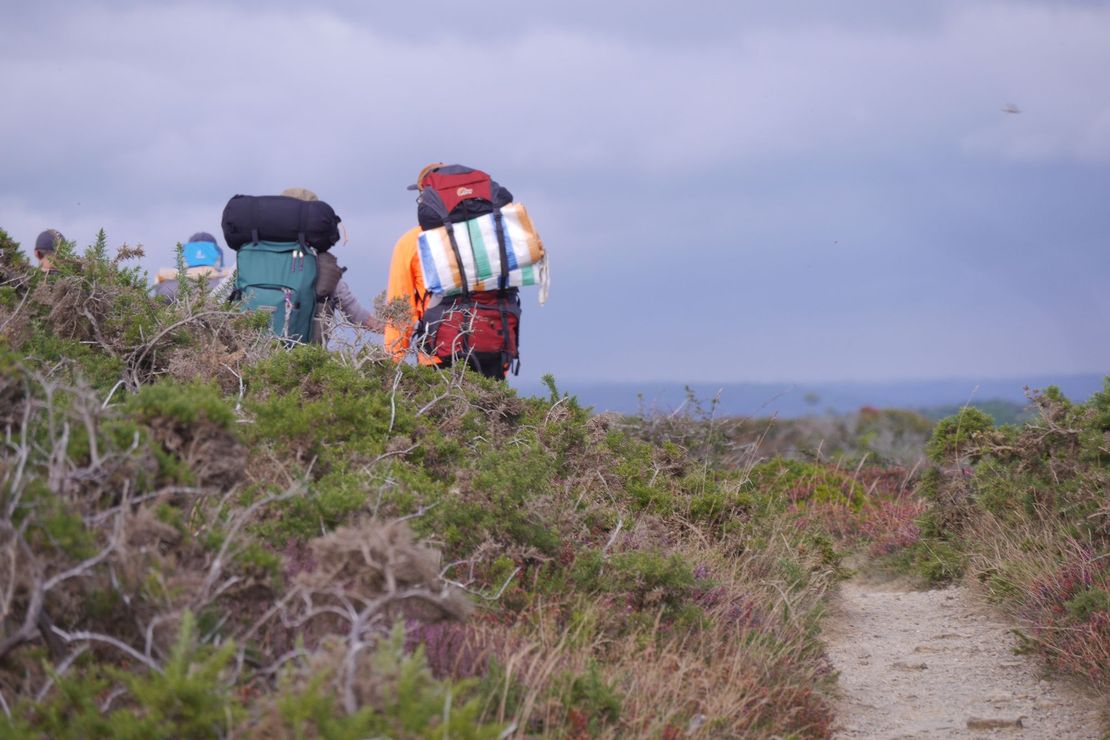 Vegetation auf Bornholm, im Hintergrund zwei Wander*innen mit Rucksack von hinten