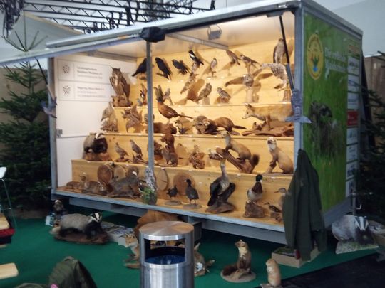 Die Rollende Waldschule im Einsatz
