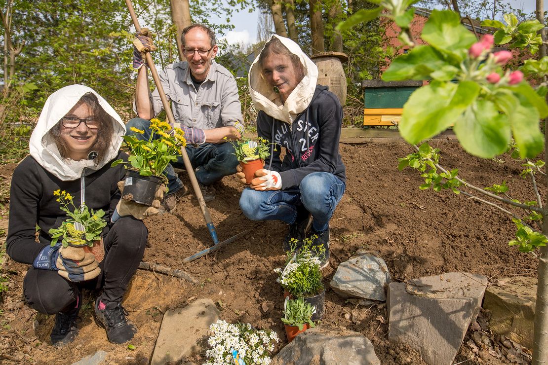 Zwei Schüler hocken mit Imker Reinhold Glüsenkamp in einem Beet. Sie halten Blumenstauden in der Hand.