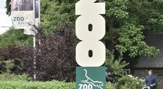 Das Bild zeigt den Eingangsbereich des Zoos, einen  Besucher mit Kinderwagen und im Wind wehenden Fahnen.