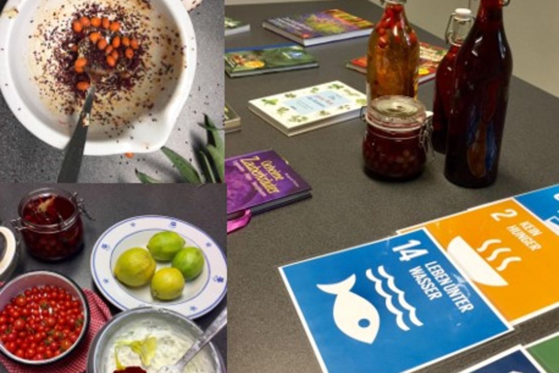 Früchte und Beeren aus der Natur sammeln und verarbeiten