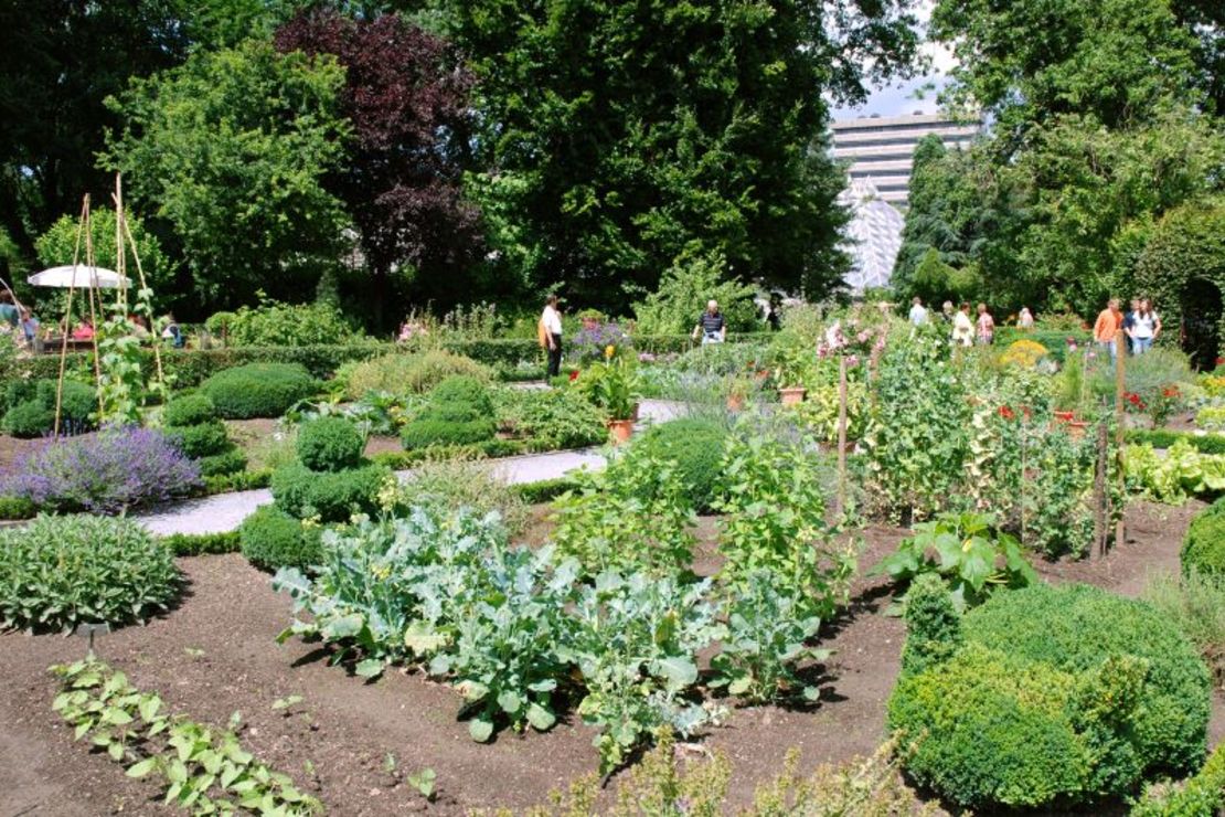 Gemüseanbau im Bauerngarten