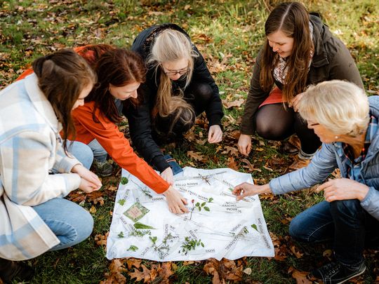 Eine Gruppe von Erwachsenen beugt sich über ein Tuch auf dem Pflanzen ausgebreitet sind