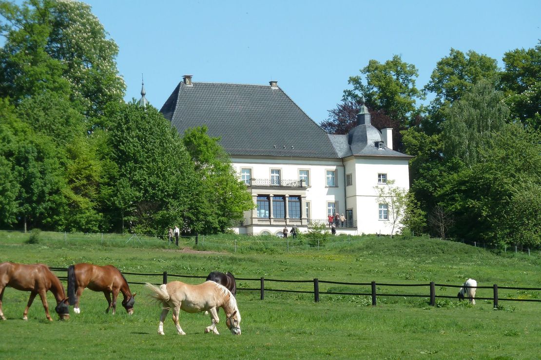 Ein Landhaus. Davor eine Pferdekoppel.