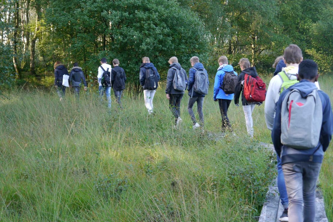 Schüler*innen auf dem Steg durchs Moor