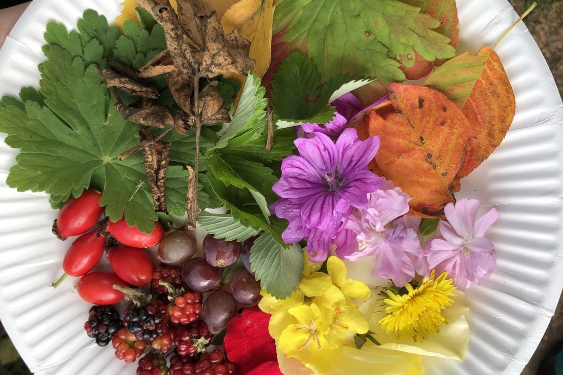 bunter Teller mit Wildfrüchten, Blüten und bunten Blättern