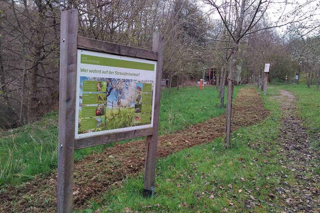 Blick auf die Streuobstwiese. Im Vordergrund ist eine Infotafel mit Bewohnern der Obstwiese zu erkennen. 