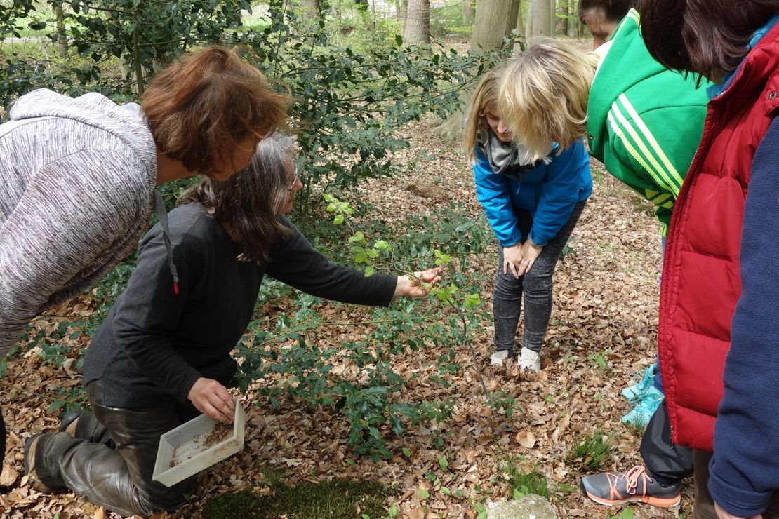 Fachkräfte für Naturerleben in der Frühpädagogik