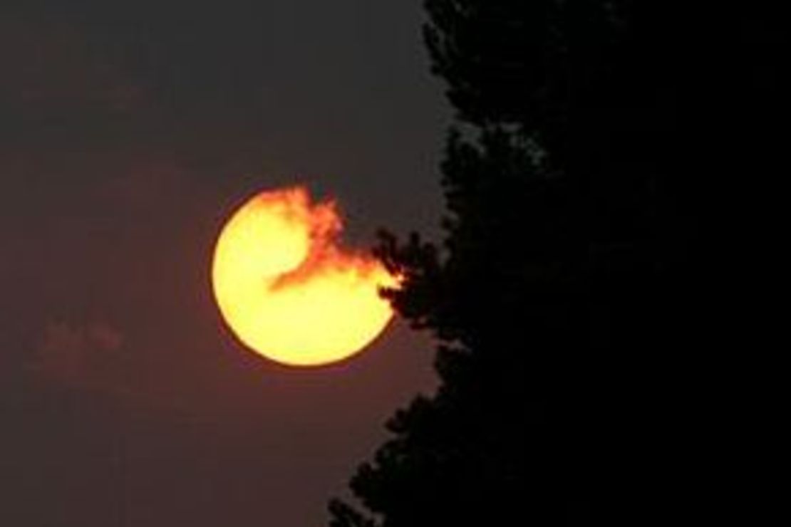 Dunkler Nachthimmel mit Vollmond, halb verdeckt von einer Wolke, Umriss eines Baumes