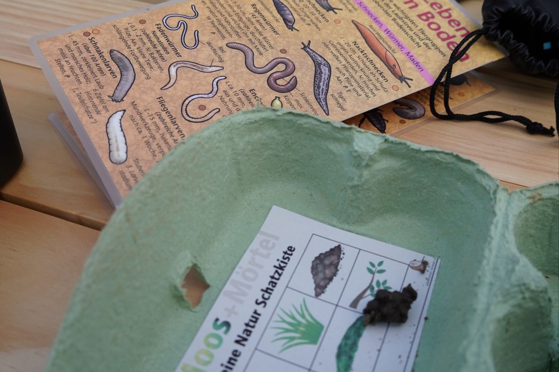 Im Vordergrund ist ein kleiner Eierkarton zu sehen, in dem die Kinder ihr Schätze aus der Natur sammeln können. Dahinter sieht man eine Bestimmungskarte für Bodentiere und einige Ferngläser.