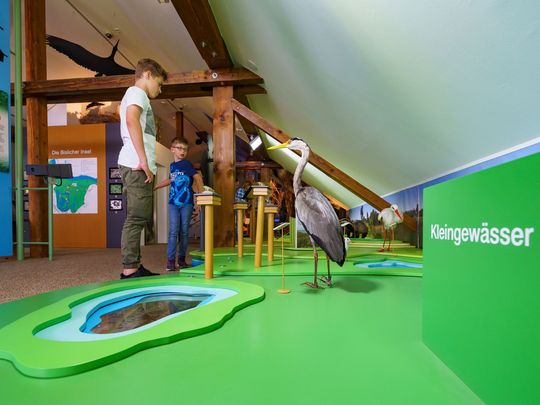 Kinder besuchen die Dauerausstellung "Auengeschichten" im NaturForum
