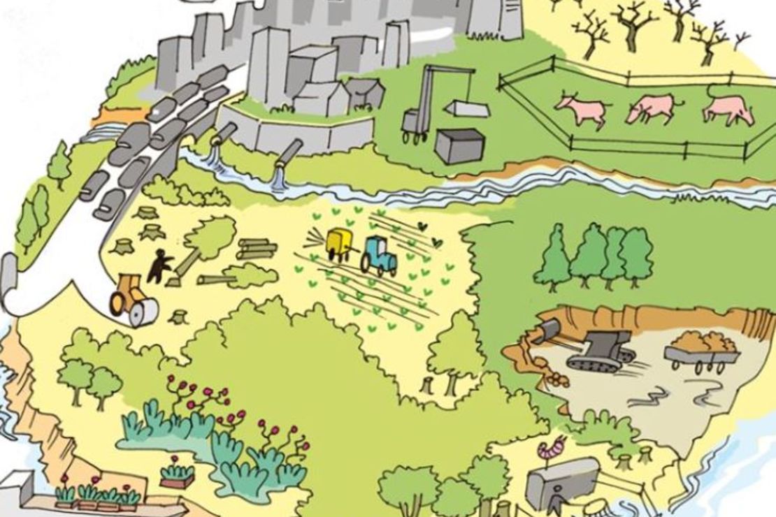 Das Wimmelbild zeigt verschiedene Gründe für den Rückgang der Artenvielfalt. 