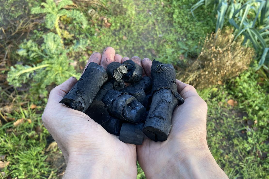 Zwei Hände halten kleine Stücke Pflanzenkohle vor einem Garten
