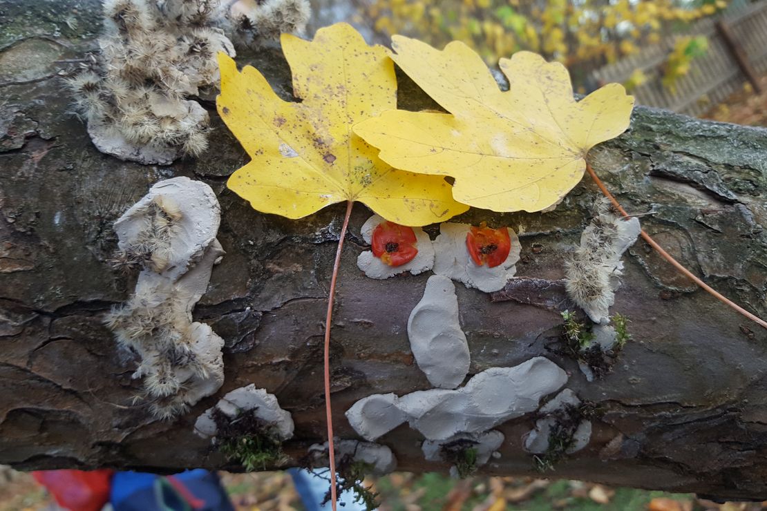 Tongesicht mit Naturmaterialien am Baumstamm