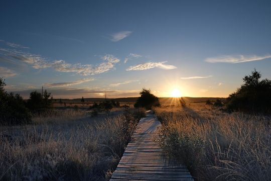 Hochmoorlandschaft mit Holzstegen