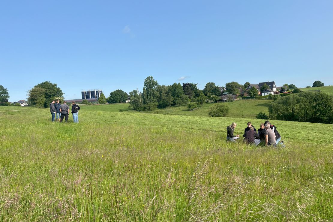 Schüler*innen sind auf der Wiese und schauen sich um