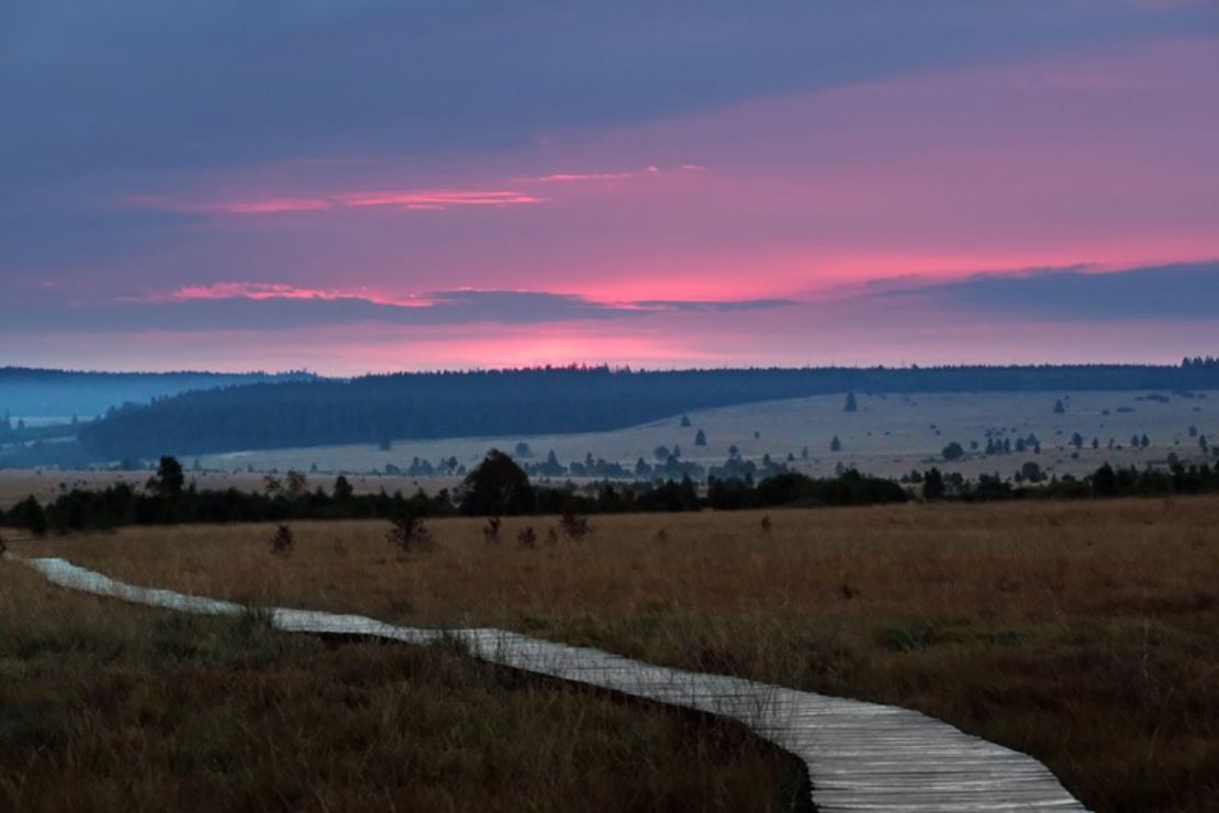 Hochmoorlandschaft mit Holzstegen