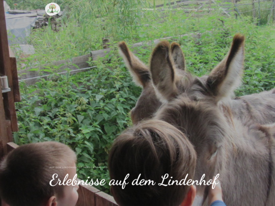 Schulkinder bei den Eseln