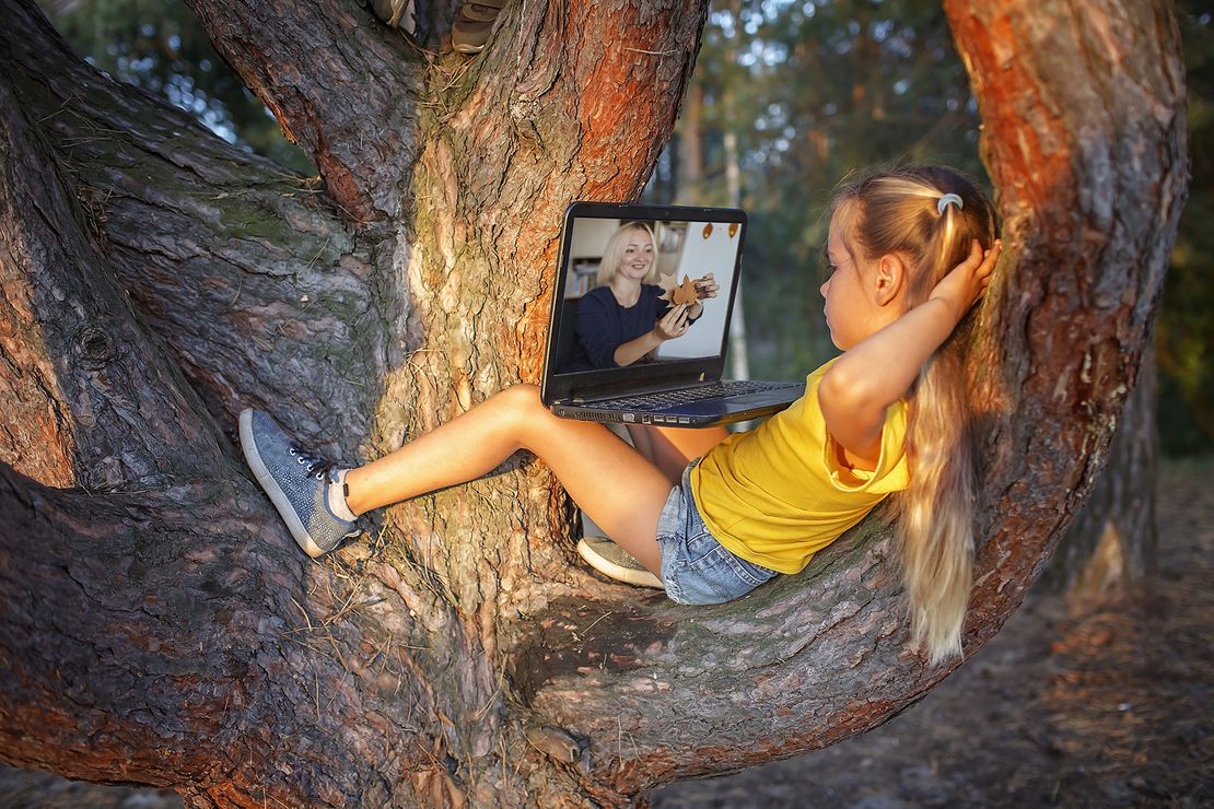 Ein Mädchen liegt auf einem starken Ast im Baum und balanciert einen Lapttop auf den Knien. Auf dem Laptop zeigt eine Frau Blätter eines Baumes. Das Mächen hat langes blondes Haar zu Zöpfen gebunden und eine weiße Hautfarbe. Sie trägt ein gelbes T-Shirt und eine kurze Jeans.