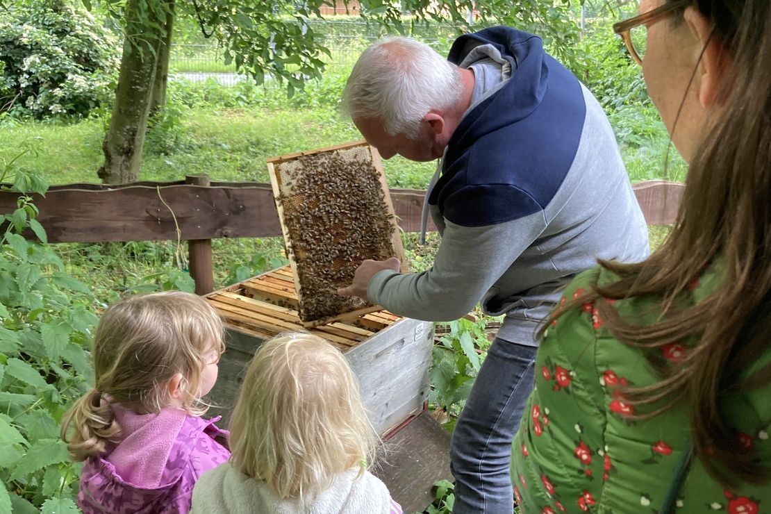 Imker mit Kindern bei den Bienenstöcken