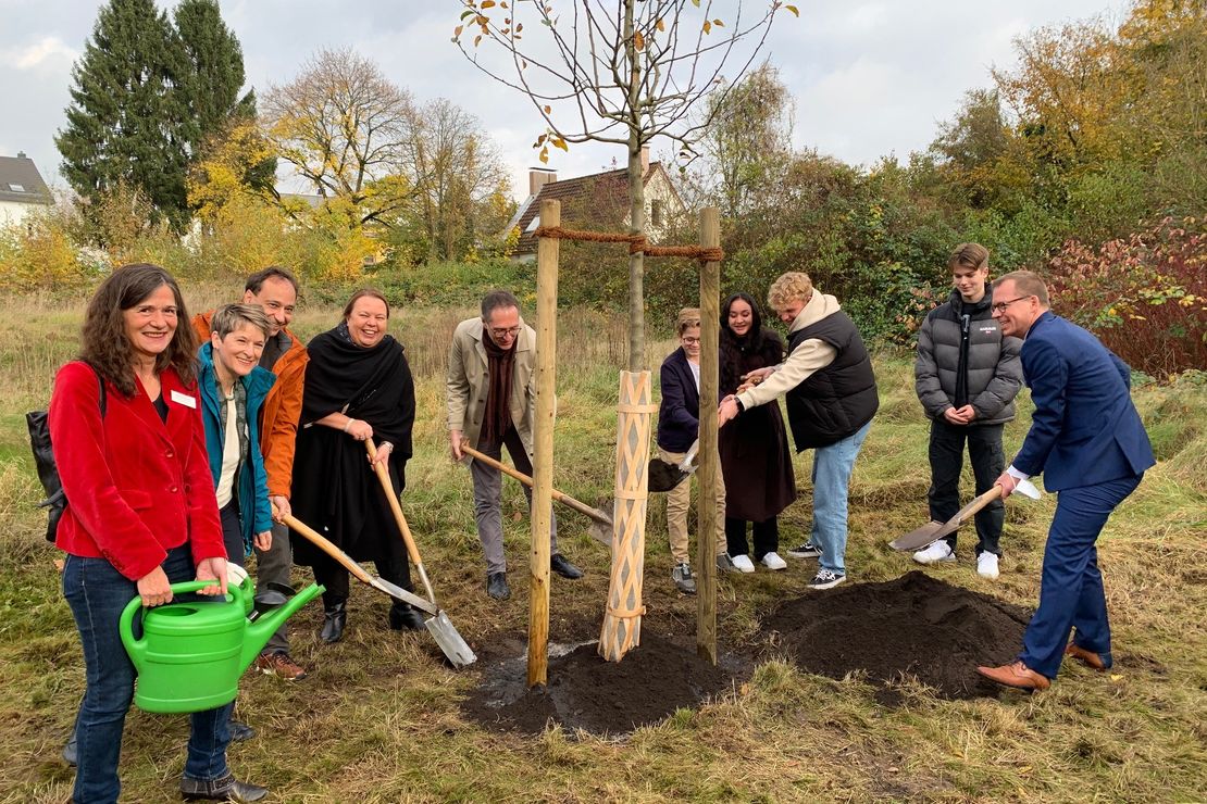 Eine Gruppe von Menschen pflanz einen Baum.