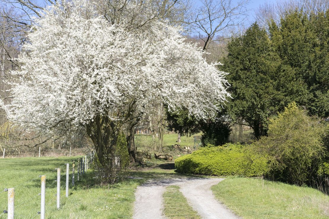 Waldgarten der Bildungsstätte Einschlingen