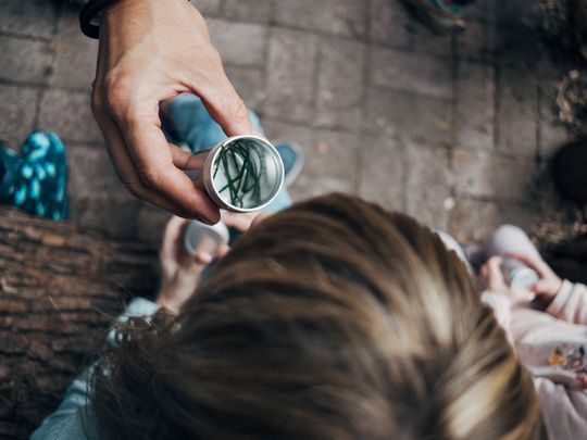 Auf dem Bild ist eine Dose mit einem Wildkraut zu sehen, die von einer Hand gehalten wird und ein Kind riecht an dem Kraut. Dabei sitzt das Kind auf einem alten Baumstamm an unserem Platz im Wald.