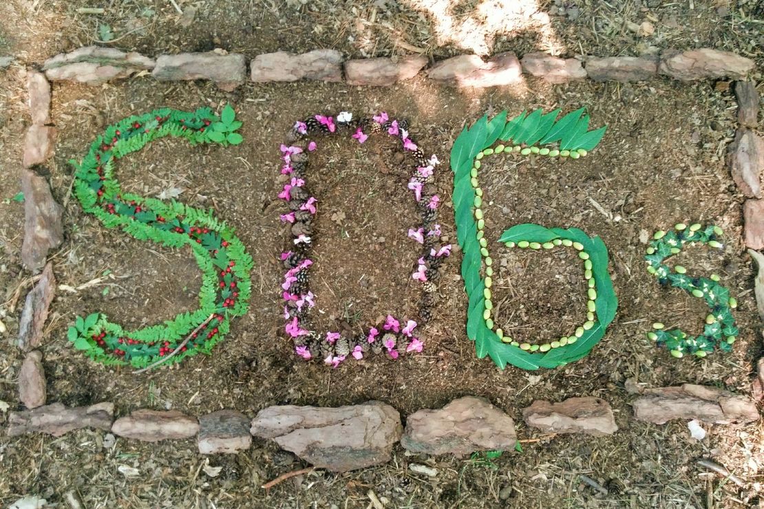 SDG aus Blättern