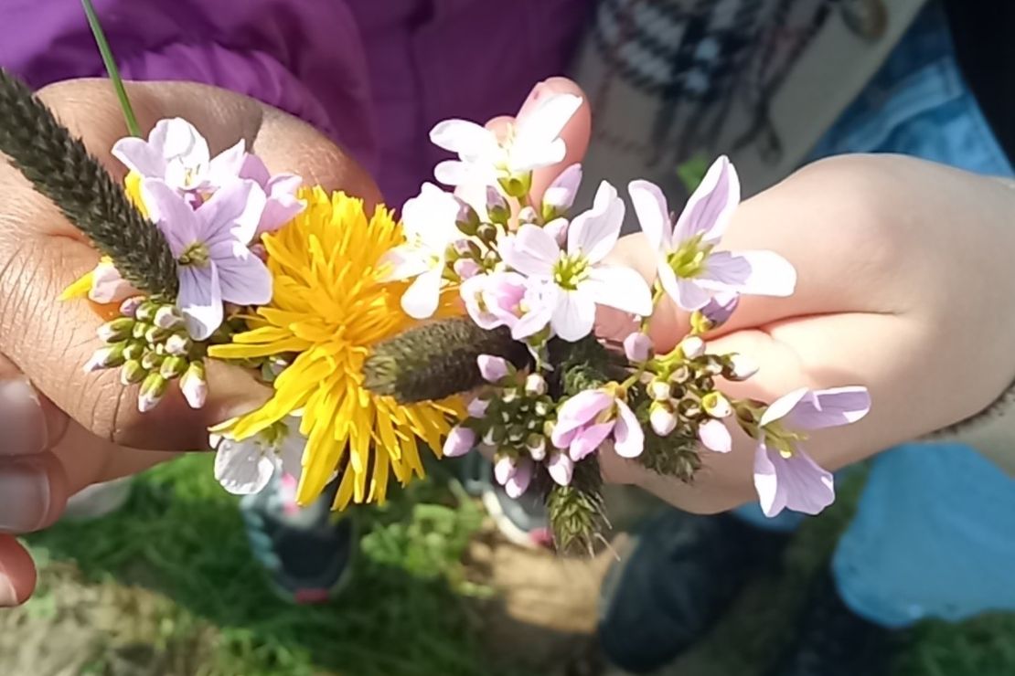 Jemand hält einen kleinen Wiesenblumenstrauß mit Löwenzahn und Wiesenschaumkraut