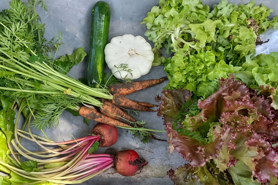 Verschiedene bunte Gemüsesorten und Salate liegen auf einem Tisch