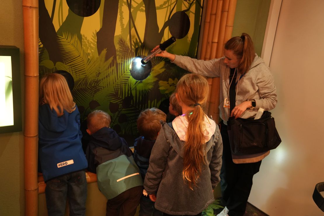 Zwei Kinder schauen durch Glas in ein dunkles Gehege nach nachtaktiven Tieren. Zwei weitere Kinder schauen dabei zu. Eine Person mit Tasche leuchtet mit einer UV-Lampe ins Gehege.