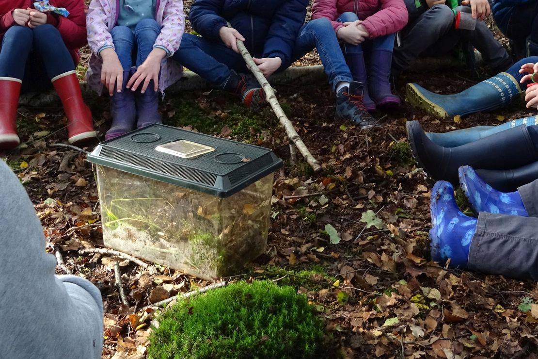 Kinder erforschen den Wald