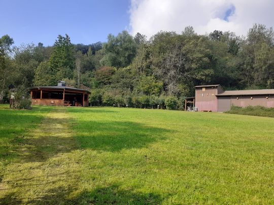 Auf einer grünen Wiese stehen links ein Holzpavillon und eine rechts eine Halle. Im Hintergrund ist ein Wald zu sehen.