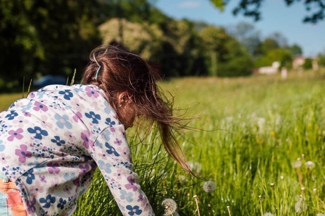 ein Mädchen pflückt eine Pusteblume auf einer Wiese