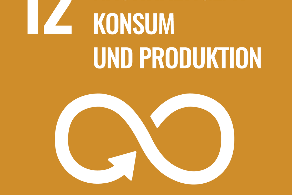SDG 12 Icon