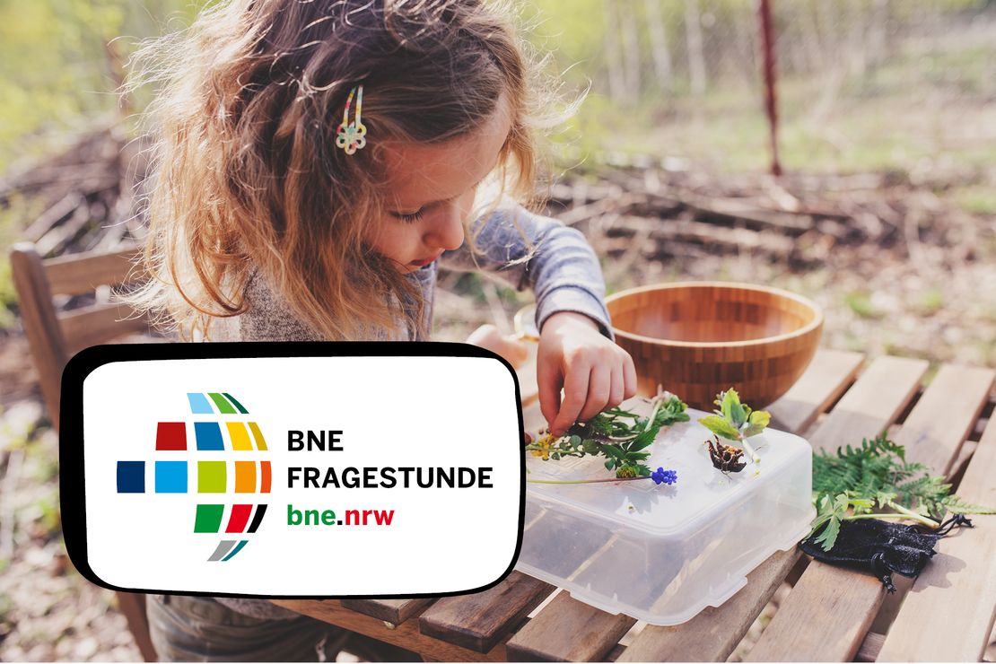 Ein Mädchen begutachtet verschiedene Pflanzen auf einem Tisch. Im Vordergrund ist das Logo der BNE-Fragestunde eingeblendet.