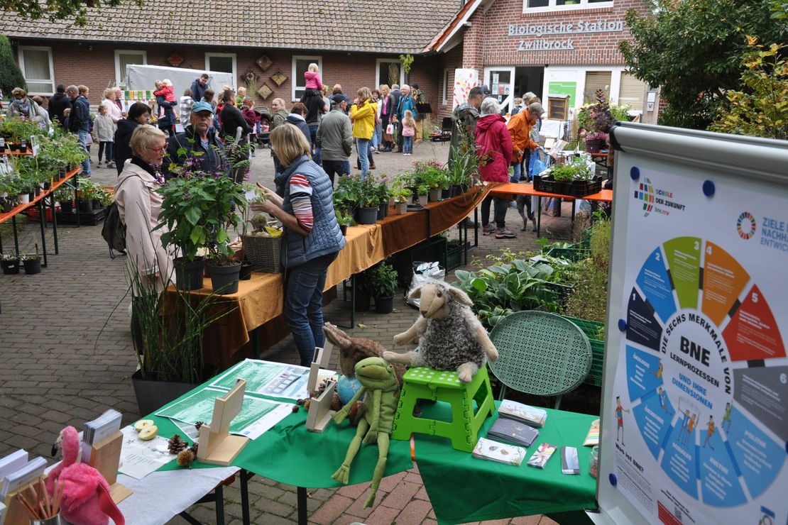 Tische mit Stauden, Blumen, und Informationsmaterial, dahinter Menschen die miteinander reden