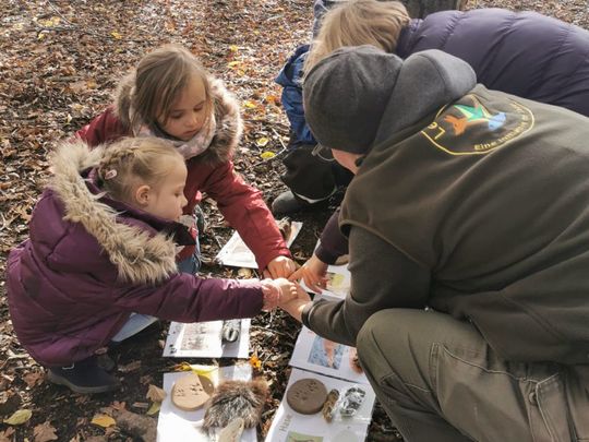Die Kinder hocken auf dem Waldboden und sortieren die Spuren den Tieren zu. Fellstücke, Trittsiegel und Fraßspuren sind zu sehen.