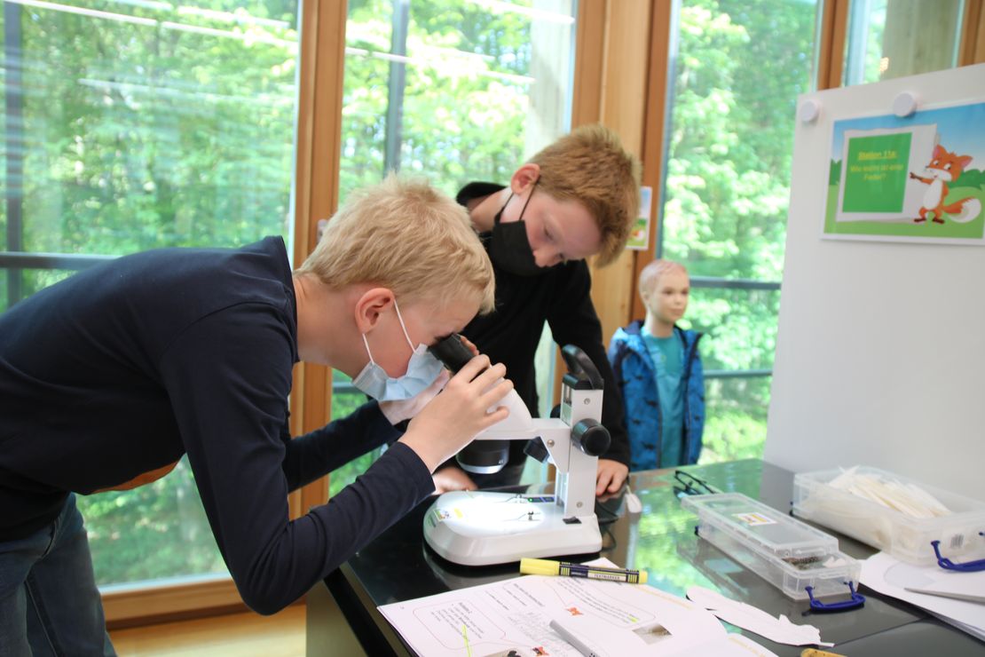 Schüler:innen erforschen Energiequellen