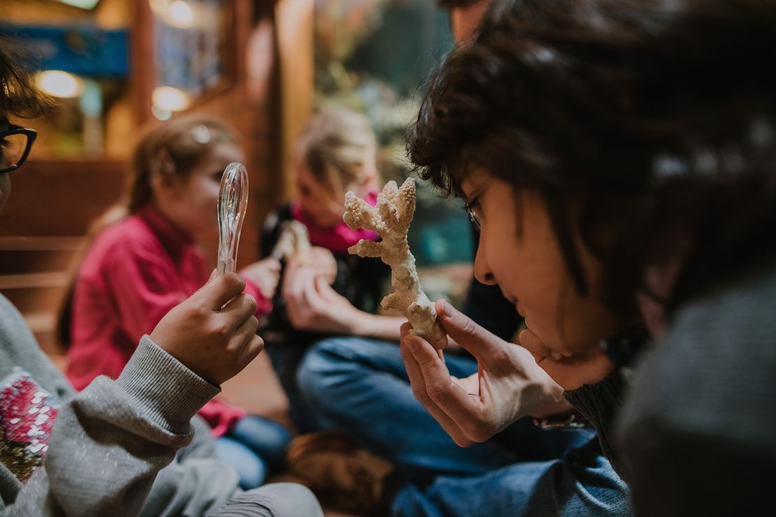 Kinder beobachten eine Steinkoralle mit einer Lupe.