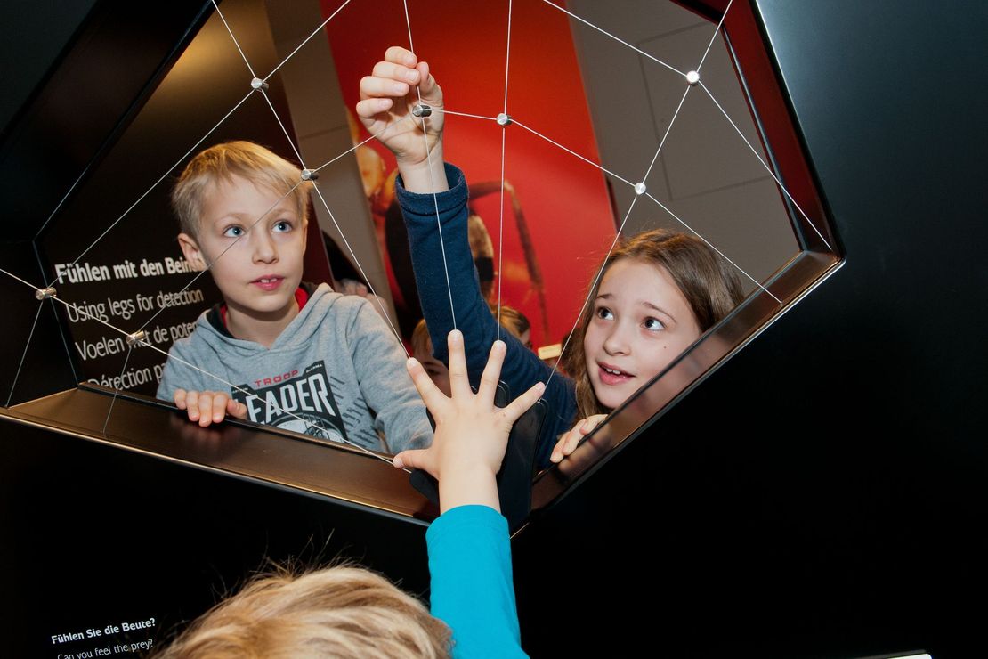 Drei Kinder testen das "Spinnennetz". Ein Kind hält seine Hand in die Mitte des Netzes während die anderen daran an den Fäden zupfen.