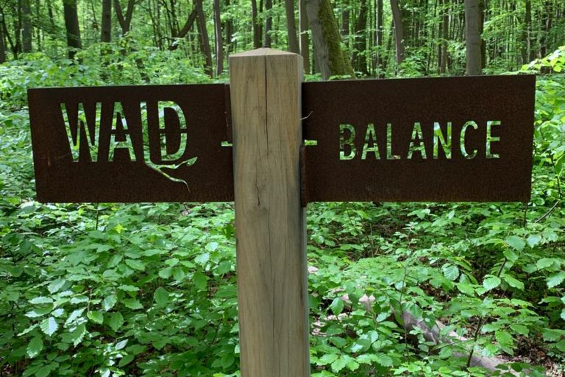 Ein Schild, das quer an einem Holzpfosten befestigt ist und in einem Wald positioniert ist. Darauf steht Wald-Balance