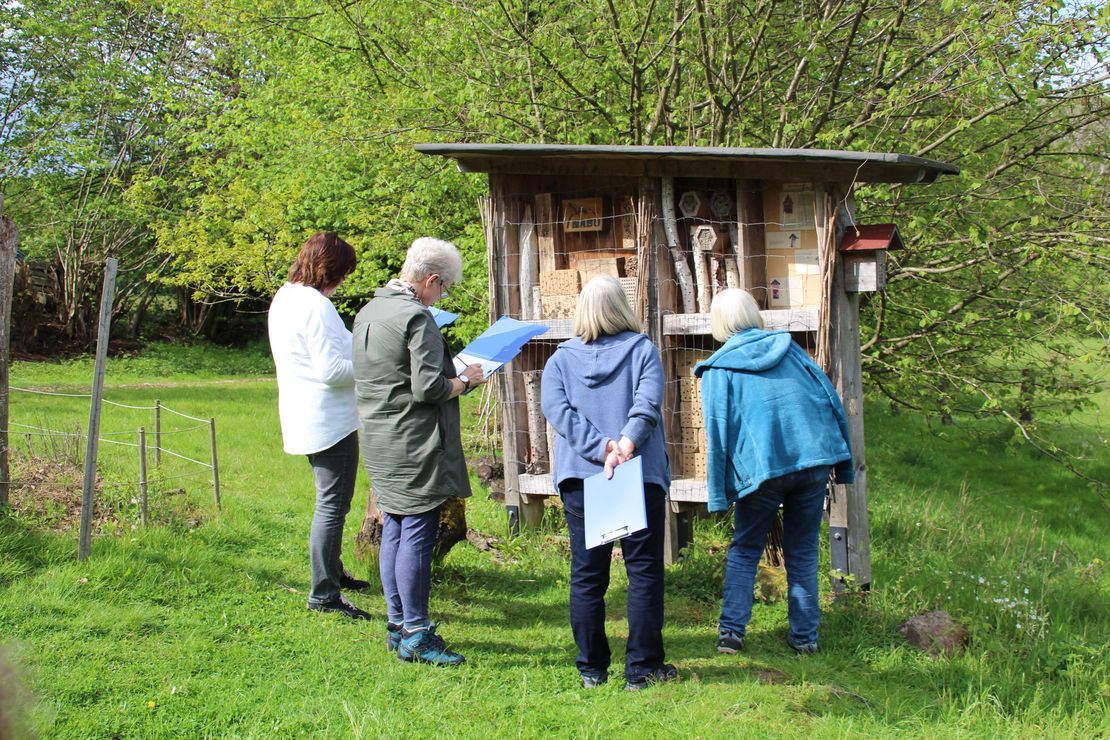 vier Frauen vor einem Insektenhotel