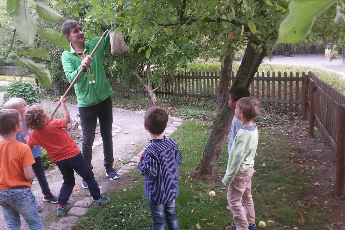 Mit dem Apfelspflücker selber Äpfel pflücken