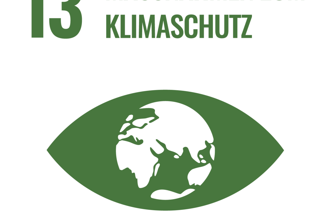 Globales Nachhaltigkeitsziel Massnahmen für den Klimaschutz